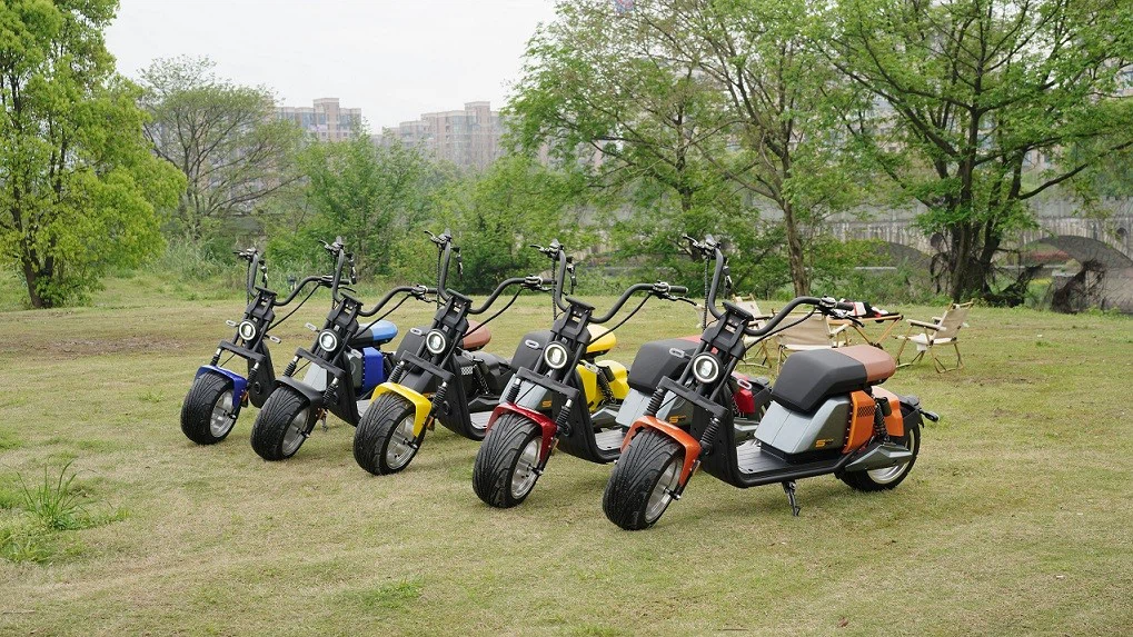 Complete Range - All Colors